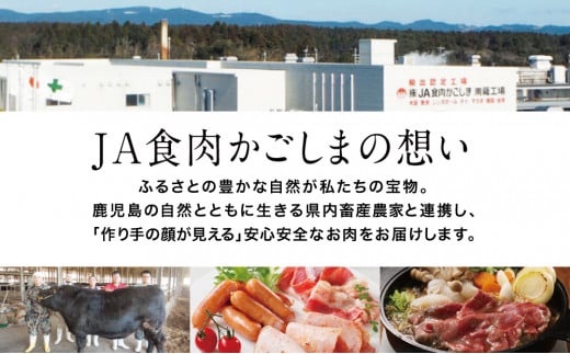 【JA食肉かごしま】鹿児島黒牛 定期便（全12回） かごしまブランド 黒毛和牛 和牛 牛肉 お肉 霜降り 赤身 ステーキ 焼肉 焼き肉 バーベキュー BBQ すき焼き しゃぶしゃぶ 食べ比べ 定期便 JA食肉かごしま 南さつま市