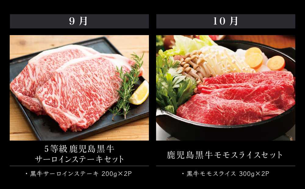 【JA食肉かごしま】鹿児島黒牛 定期便（全12回） かごしまブランド 黒毛和牛 和牛 牛肉 お肉 霜降り 赤身 ステーキ 焼肉 焼き肉 バーベキュー BBQ すき焼き しゃぶしゃぶ 食べ比べ 定期便 JA食肉かごしま 南さつま市