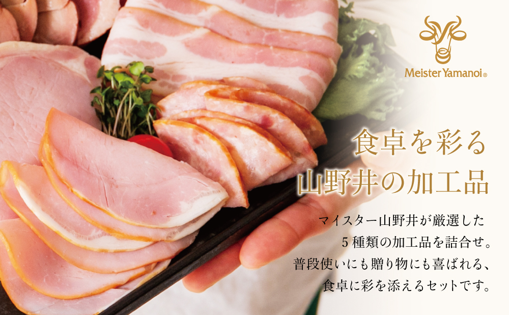 【マイスター山野井】炭焼き焼豚とハムの詰め合わせ（5種） チャーシュー 焼き豚 ロースハム 燻製荒びきポーク セット 詰合せ 詰め合わせ オードブル 惣菜 おかず おせち パーティー 手土産 ギフト 贈り物 贈答用 冷蔵 南さつま市