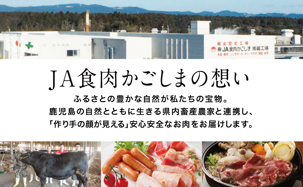 【鹿児島県産】ブランド豚 茶美豚 ロース とんかつ・ソテー用 計900g（300g×3P） 肉 お肉 焼肉 炒め物 とんかつ ステーキ ソテー 照焼き おかず 惣菜 お弁当 豚肉 かごしま グルメ 冷凍 JA食肉かごしま
