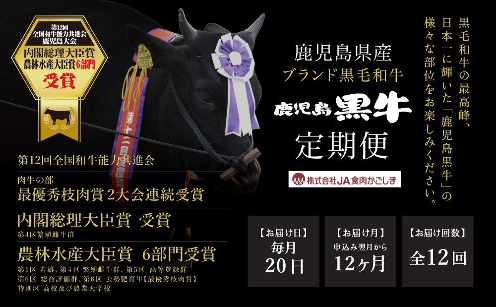 【JA食肉かごしま】鹿児島黒牛 定期便（全12回） かごしまブランド 黒毛和牛 和牛 牛肉 お肉 霜降り 赤身 ステーキ 焼肉 焼き肉 バーベキュー BBQ すき焼き しゃぶしゃぶ 食べ比べ 定期便 JA食肉かごしま 南さつま市