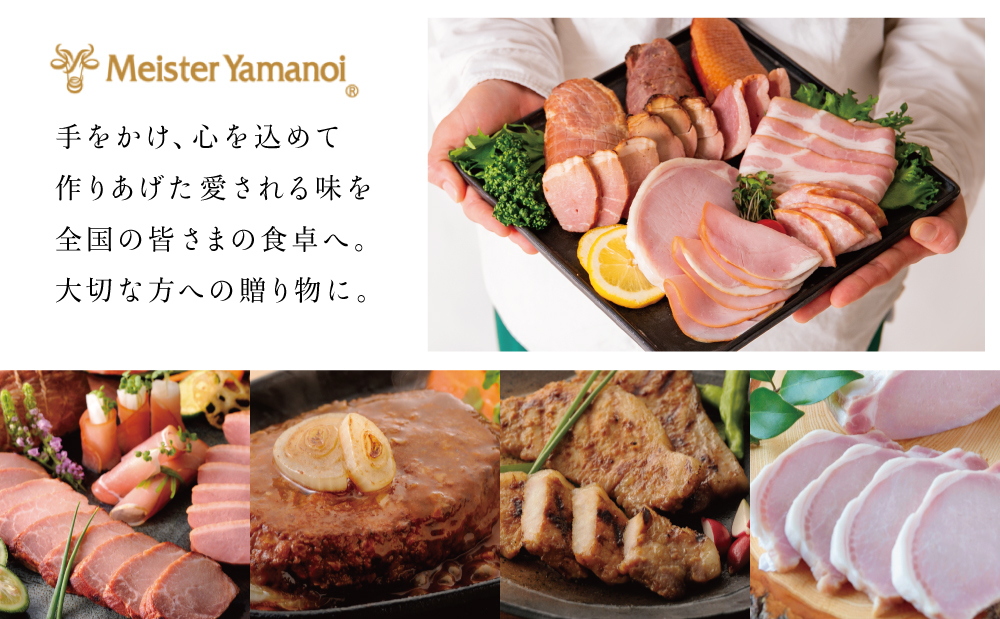 【マイスター山野井】5種類の焼豚とハム・ベーコン詰め合わせ（9種） チャーシュー ハム 焼き豚 ロースハム 合鴨 みそ漬け ハムギフト グルメ 惣菜 おかず ギフトセット 詰合せ アソート プレゼント 内祝い 贈り物 贈答用 化粧箱入り 南さつま市