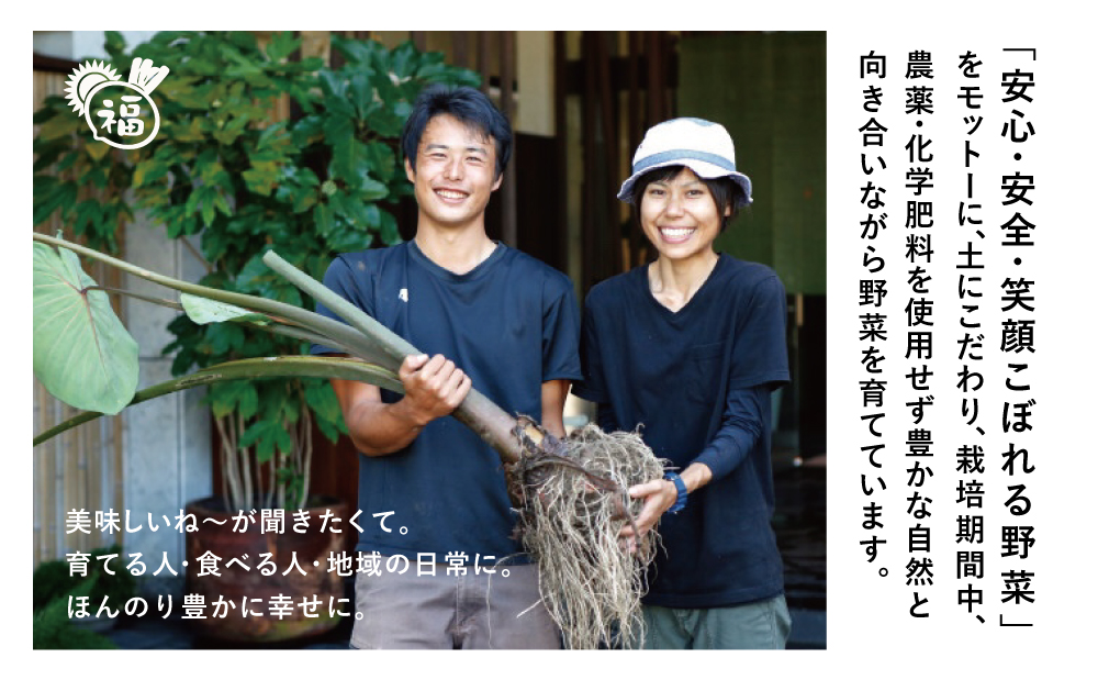 【鹿児島県南さつま市産】福元農園 旬のお野菜 おまかせセット 1箱（5～8品目） 野菜 詰め合わせ 数量限定 鹿児島 南さつま市