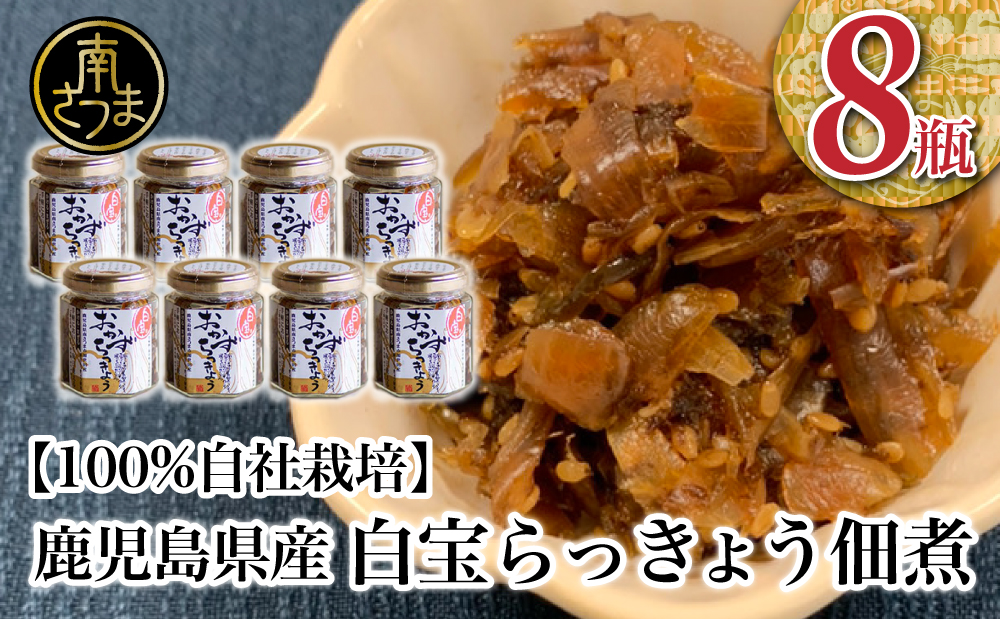 【鹿児島県産】白宝らっきょう佃煮 8個 佃煮 つくだ煮 セット 珍味 惣菜 らっきょう 鹿児島 エスランドル 南さつま市