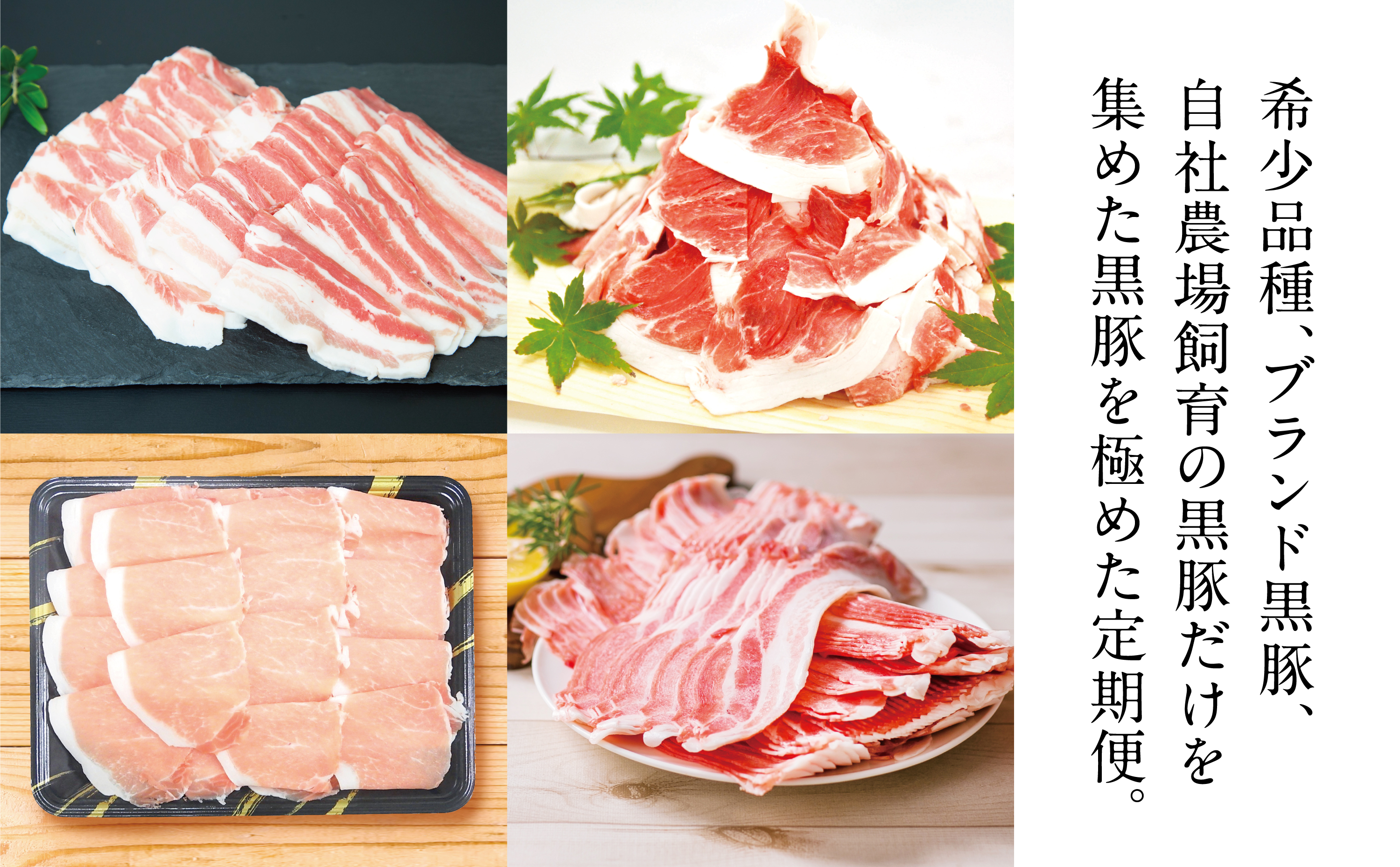 ãå®æäŸ¿ãçç£çåœé¹¿å
å³¶ã®é»è±æºå«ã³ãŒã¹ è³é«ã®ã ãä»ãïŒå
š5åïŒ ãè å®æäŸ¿ åœç£ 鹿å
å³¶çç£ è±è é»è± ããã¶ããã¶ ãšãã〠çŒè åãèœãšã ã»ãã æ¯æ é£ã¹æ¯ã¹ å·å åãã€ãŸåž