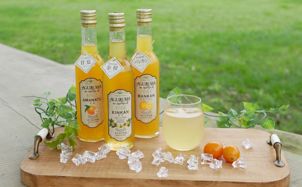 柑橘シロップ３本セット（甘夏・金柑・河内晩柑） 南さつま市