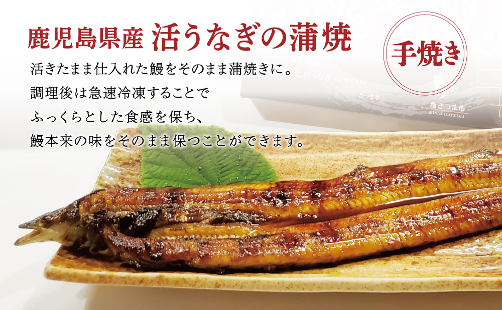 ã鹿å
å³¶çç£ã掻ããªãã®è²çŒ1å°Ÿ é°» ãŠãã® äžã®æ¥ ã°ã«ã¡ ããªé ããªäžŒ è²çŒ ãã°çŒã ãåãå¯ã åãã€ãŸåž