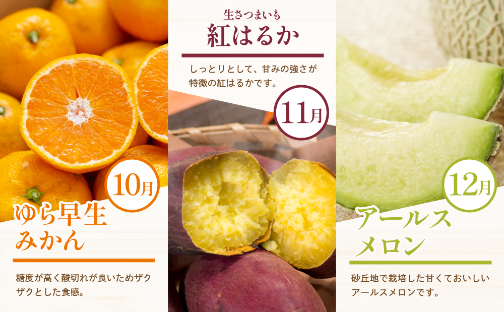 【定期便】南国の恵み 旬のフルーツ・野菜定期便（全12回） 鹿児島県産 果物 フルーツ 柑橘 みかん 野菜 お茶 米 お米 コシヒカリ ぶどう シャインマスカット マンゴー メロン 定期便