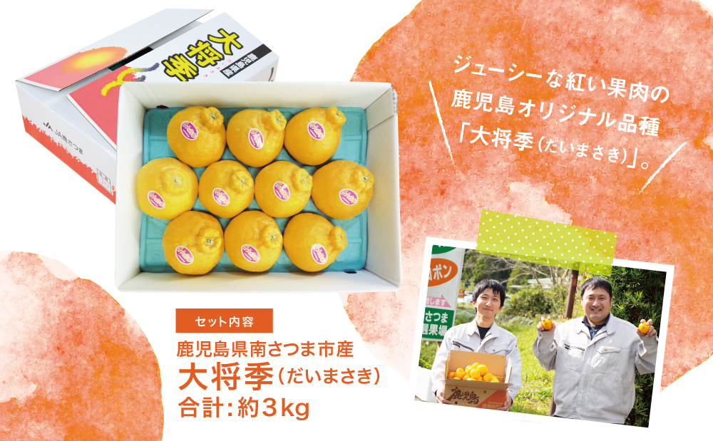 ã1æïœ3æçºéã鹿å
å³¶çç£ äžç¥ç«ã倧å°å£ãïŒã ããŸããïŒçŽ3kg æç© ãã«ãŒã ææ© ã¿ãã ããã¬ã ãã©ã³ã åžžæž© JA åãã€ãŸåž