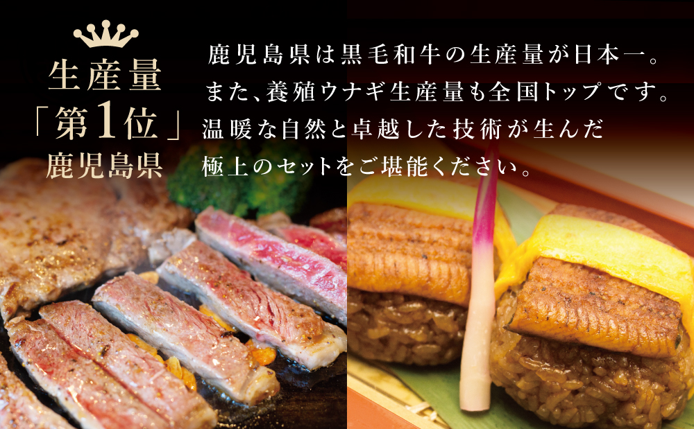 【鹿児島県産】黒毛和牛ステーキとうなぎ蒸しおむすびの贅沢セット（同梱発送） 肉 牛肉 鰻 セット ギフト 贈答 冷凍 スターゼン 南さつま市