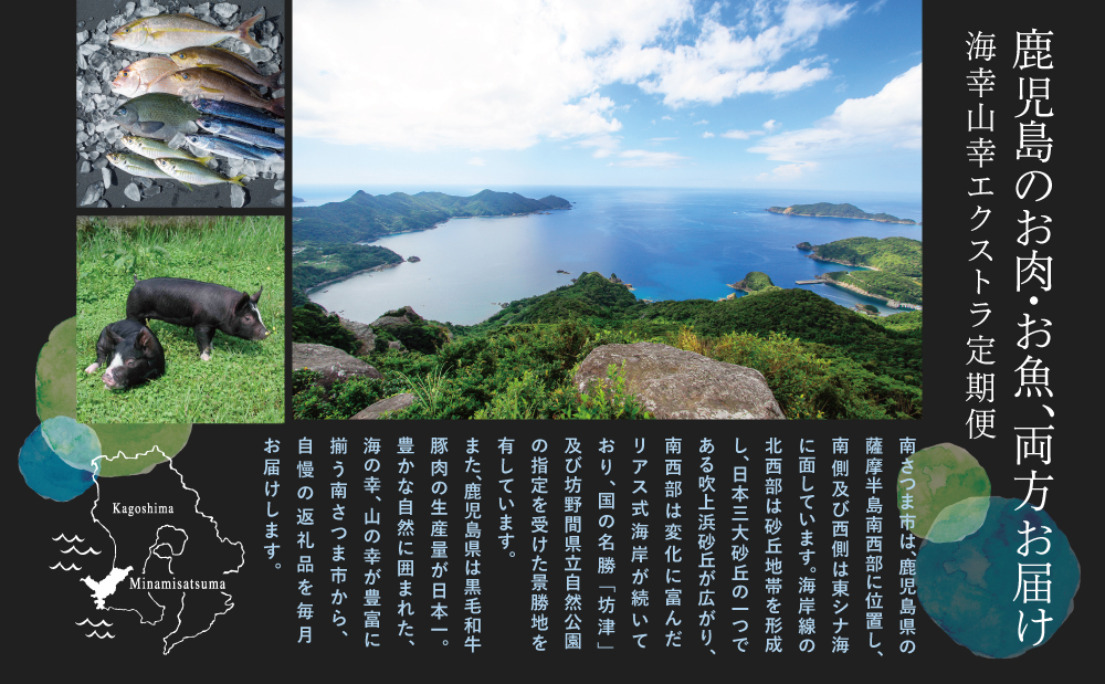 【定期便】海幸山幸 エクストラ厳選 定期便（全12回） 南さつま市 お肉 お魚 豚肉 牛肉 黒豚  鹿児島黒牛 すき焼き サーロイン ステーキ しゃぶしゃぶ 角煮 鰻 蒲焼 刺身用 たかえび 薩摩甘えび 海老 マグロ さつま揚げ 焼豚 ハム レトルト ハンバーグ 出汁 鰹節