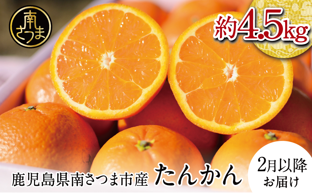 【2026年2月以降発送開始】鹿児島県産 ブランドたんかん 約4.5kg かこしまブランド 果物 フルーツ 柑橘 常温 JA 南さつま市