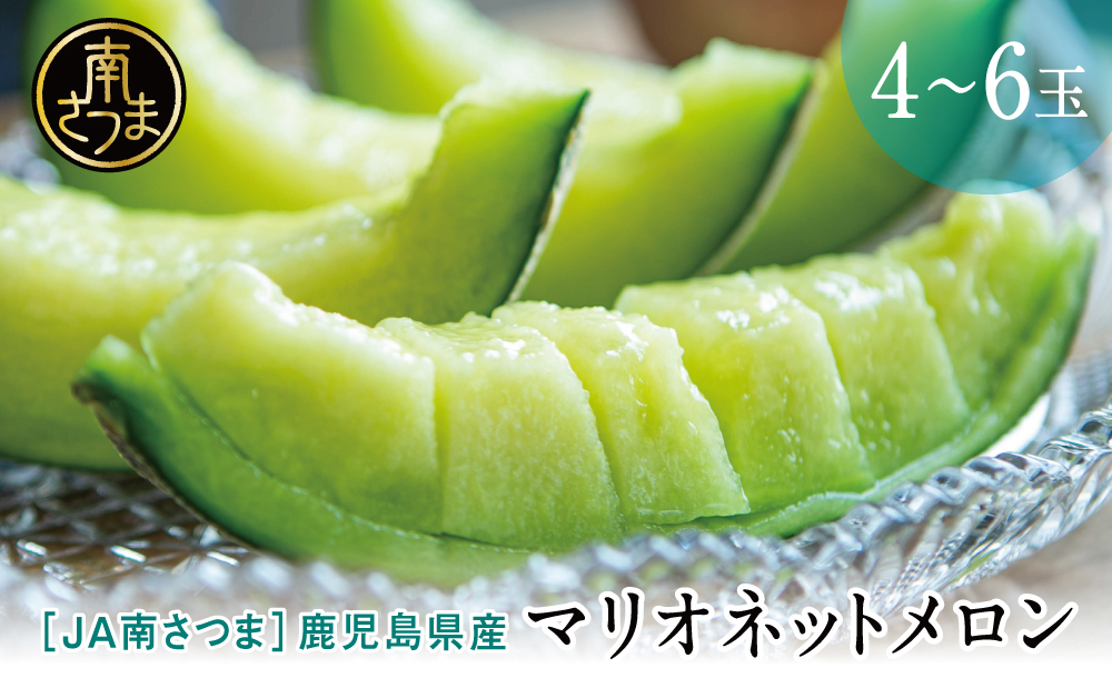 鹿児島県産 マリオネットメロン 4～6玉 ◆5月出荷開始 ・ 数量限定 ・ 期間限定 ◆ メロン 国産 果実 果物 くだもの フルーツ 果肉 果汁 食品 デザート スイーツ おやつ 甘い ジューシー 旬 夏 季節限定 季節の果物 南国 おすすめ 高級 ご褒美 贅沢 グルメ お取り寄せ 手土産 ギフト 贈り物 贈答用 産地直送 JA南さつま 鹿児島県 南さつま市
