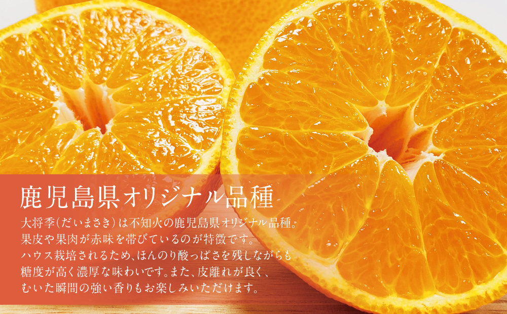 ã1æïœ3æçºéã鹿å
å³¶çç£ äžç¥ç«ã倧å°å£ãïŒã ããŸããïŒçŽ3kg æç© ãã«ãŒã ææ© ã¿ãã ããã¬ã ãã©ã³ã åžžæž© JA åãã€ãŸåž