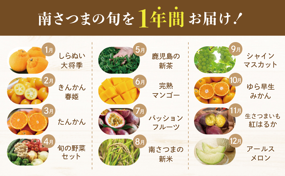 【定期便】南国の恵み 旬のフルーツ・野菜定期便（全12回） 鹿児島県産 果物 フルーツ 柑橘 みかん 野菜 お茶 米 お米 コシヒカリ ぶどう シャインマスカット マンゴー メロン 定期便