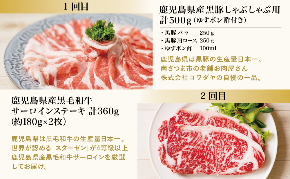 【 定期便 】畜産王国 鹿児島の厳選 お肉 4種（全4回） 鹿児島県産 黒毛和牛 豚肉 黒豚 すき焼き しゃぶしゃぶ ステーキ サーロイン お肉 定期便 南さつま市