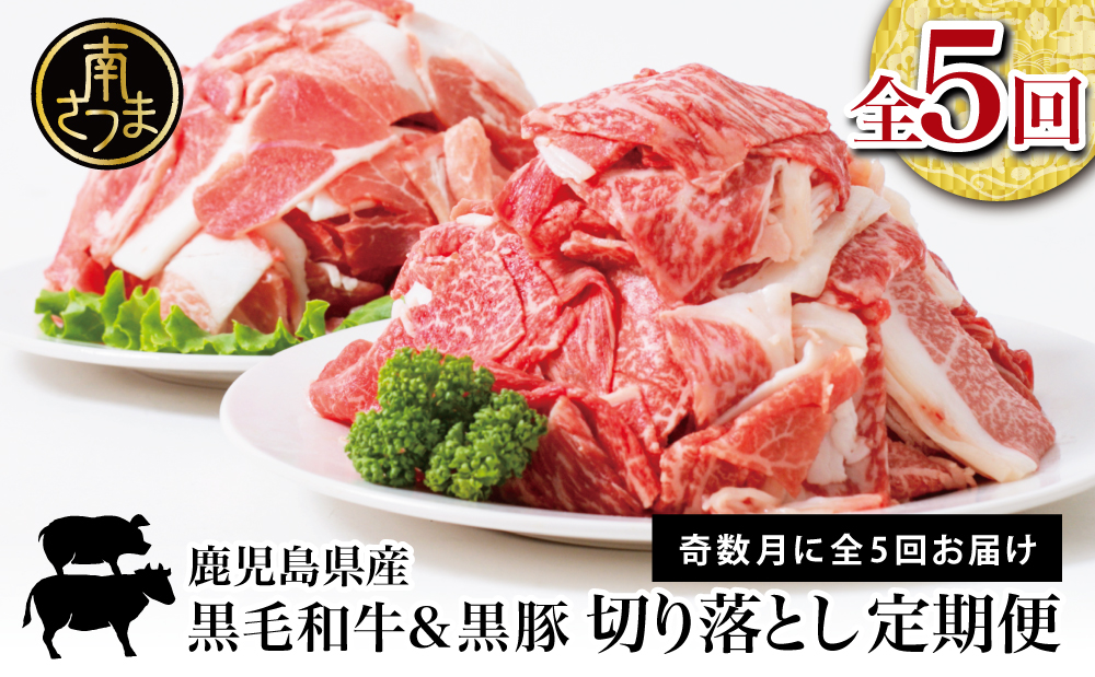 【モリモリ定期便】鹿児島県産 黒毛和牛＆黒豚 切落し 定期便 （全5回）牛丼 肉じゃが カレー 炒め物 定期便 冷凍 スターゼン 南さつま市