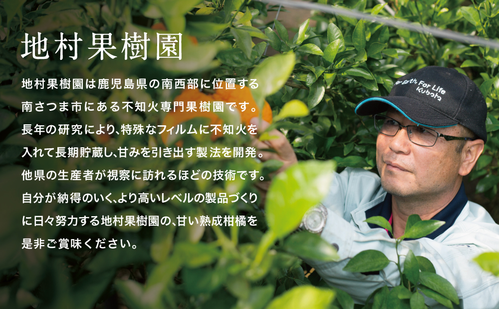 ãè³é«ã®çæææ©ããè©æ©ã®çŽ
æ¡ïŒäžç¥ç«ïŒããèªå®
çš 30ïœ36çLïœ3Lãµã€ãºïŒœæç© ãã«ãŒã çæ ææ© é·æè²¯èµ ããã¬ã äžç¥ç« 鹿å
å³¶ åãã€ãŸåž