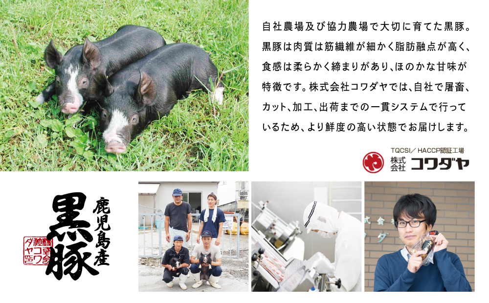 鹿å
å³¶çç£é»è± ããããŒã«ã¹ããŒã140gÃ8è¢ïŒ1.12kgïŒ å°åã åœç£ ãã©ã³ãè± ããã æ£è ç°¡å ãæè»œ å·å é£å å€é£¯ ãåŒåœ æç ç°¡å調ç 鹿å
å³¶ç åãã€ãŸåž æ ªåŒäŒç€Ÿã³ã¯ãã€