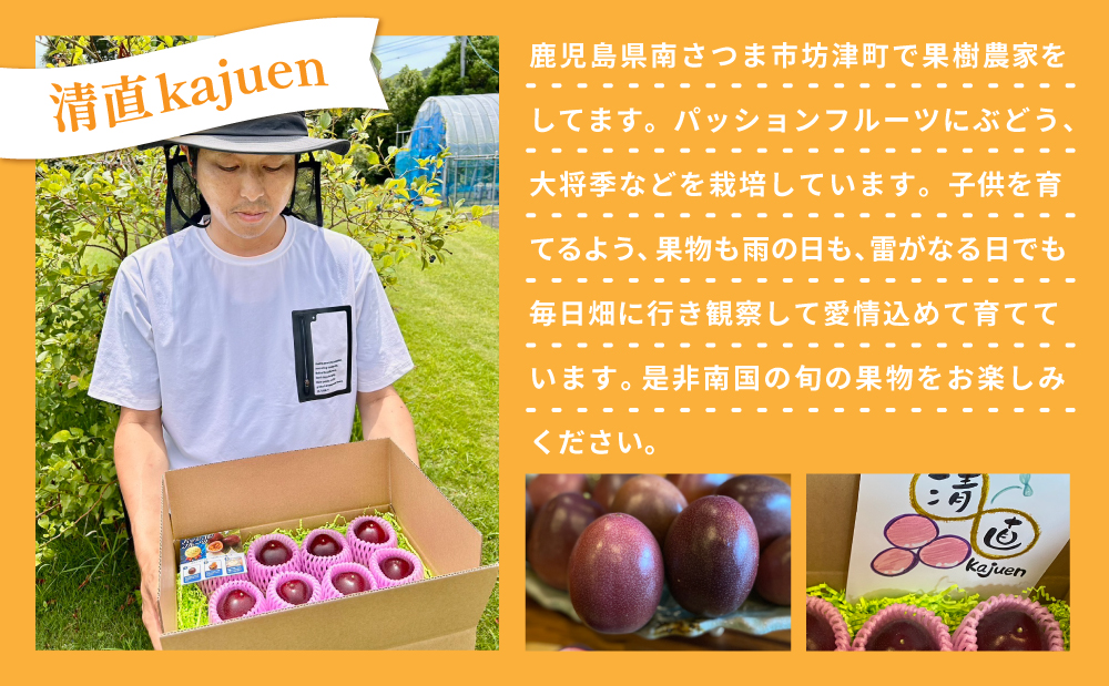 鹿å
å³¶çç£ ããã·ã§ã³ãã«ãŒã çŽ2kgïŒ10ïœ12åçšåºŠÃ2ç®±ïŒ ïŒ»æ°éã»æé éå® ïŒœ å
è¡äºçŽ å
è¡åä» åœç£ ãã«ãŒã æç© ãã ãã® éæ é£å ãã¶ãŒã ã¹ã€ãŒã ããã€ æ¬ å€ å£ç¯éå® å£ç¯ã®æç© é
žå³ çã¿ ãããã ååœ ãããã«ã«ãã«ãŒã ååœãã«ãŒã ãåãå¯ã ã°ã«ã¡ 蟲å 蟲åçŽé 蟲家çŽé ç£å°çŽé æž
çŽkajuen 鹿å
å³¶ 鹿å
å³¶ç åãã€ãŸåž