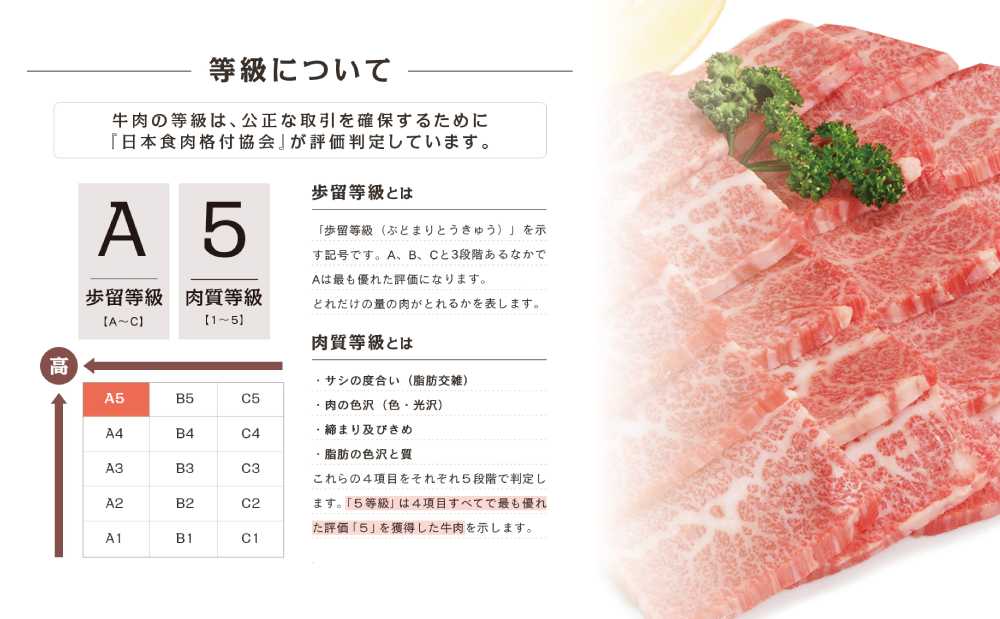 【鹿児島県産】A5等級 黒毛和牛 霜降り焼肉用 400g 牛肉 焼肉 BBQ お肉 小分け 冷凍 カミチク 南さつま市