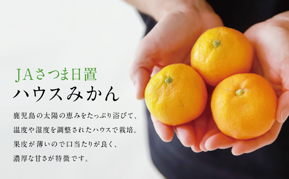 鹿児島県産 ハウスみかん 約2.4kg【 先行受付 ★7月～8月発送★】 化粧箱入り 先行予約 柑橘 みかん ミカン 蜜柑 ハウスミカン 温室 温州ミカン 温州みかん 旬 数量・期間 限定 国産 果実 果物 くだもの フルーツ 果肉 果汁 食品 デザート スイーツ おやつ 甘い 旬 季節限定 季節の果物 おすすめ ご褒美 贅沢 グルメ お取り寄せ JAさつま日置 鹿児島 鹿児島県 南さつま市