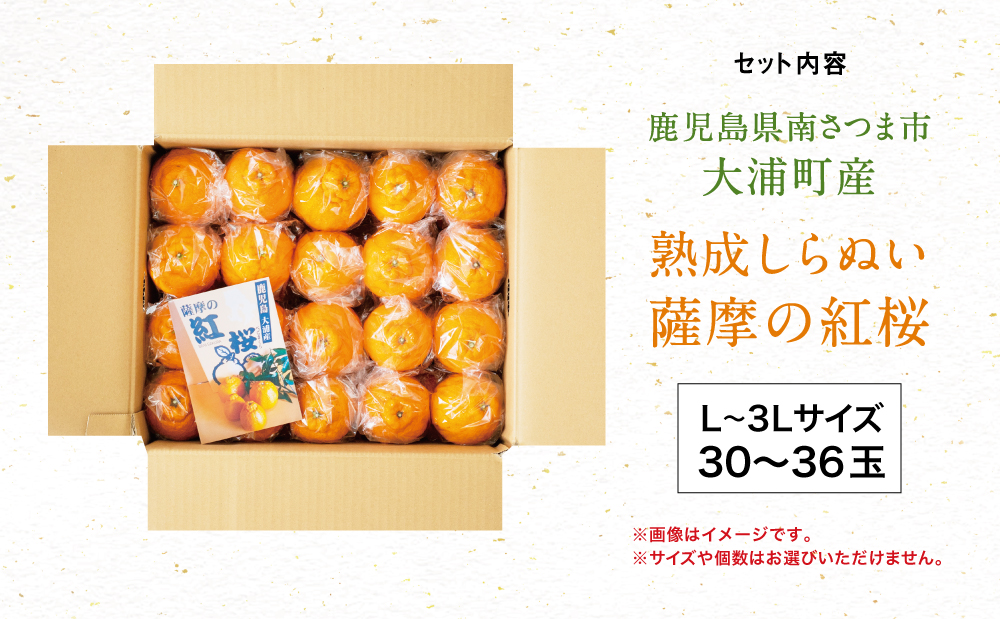 ãè³é«ã®çæææ©ããè©æ©ã®çŽ
æ¡ïŒäžç¥ç«ïŒããèªå®
çš 30ïœ36çLïœ3Lãµã€ãºïŒœæç© ãã«ãŒã çæ ææ© é·æè²¯èµ ããã¬ã äžç¥ç« 鹿å
å³¶ åãã€ãŸåž