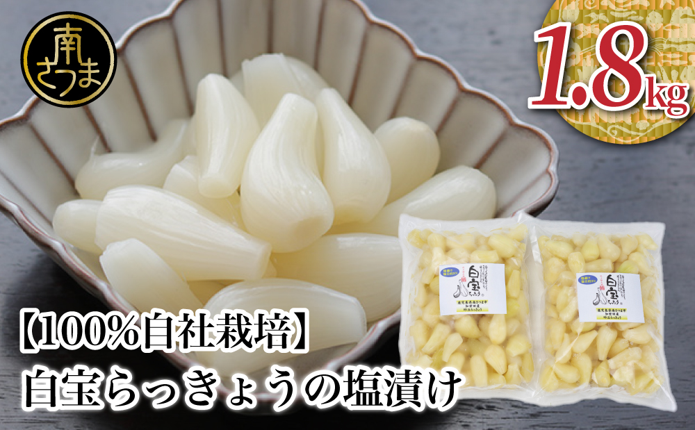 【鹿児島県産】白宝らっきょうの塩漬け 900g×2P 惣菜 らっきょう漬 らっきょう 漬物 塩漬け 鹿児島 エスランドル 南さつま市