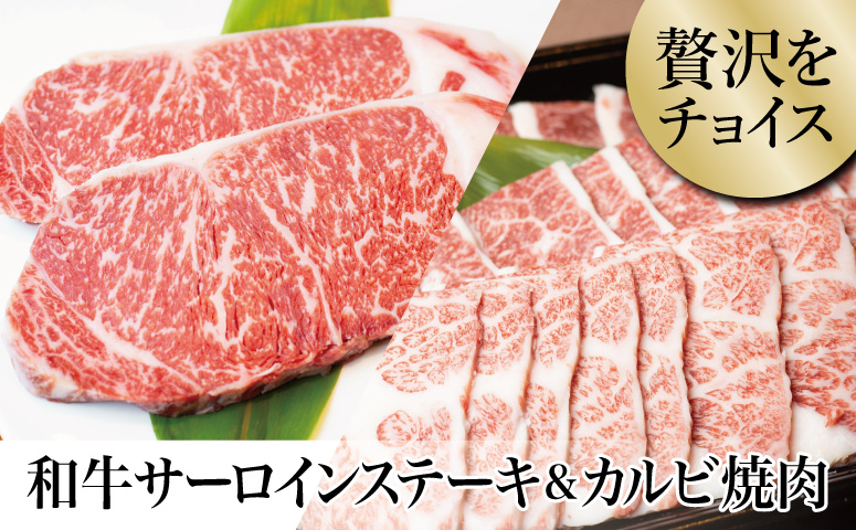 【鹿児島県産】 黒毛和牛 サーロイン ステーキ 320g＆カルビ 焼肉 300g お肉 牛肉 バラ バーベキュー BBQ ステーキ セット 食べ比べ 冷凍 スターゼン 南さつま市