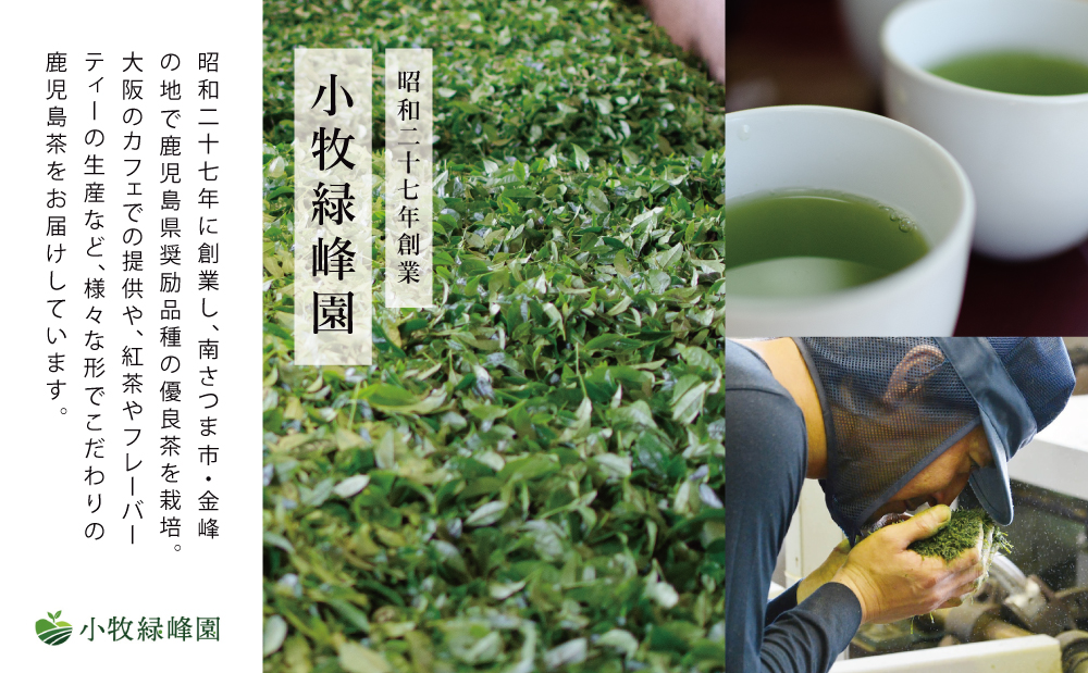 【日本茶AWARD受賞】鹿児島緑茶と紅茶のセット（計250g） 鹿児島県産 かごしま お茶 日本茶 緑茶 紅茶 茶葉 南さつま市 小牧緑峰園
