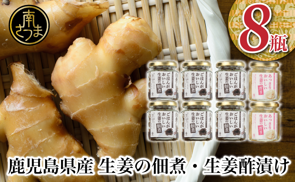 【健康習慣】生姜の佃煮・生姜酢漬け 2種 計8個 佃煮 つくだ煮 セット 珍味 惣菜 生姜 しょうが 鹿児島 エスランドル 南さつま市