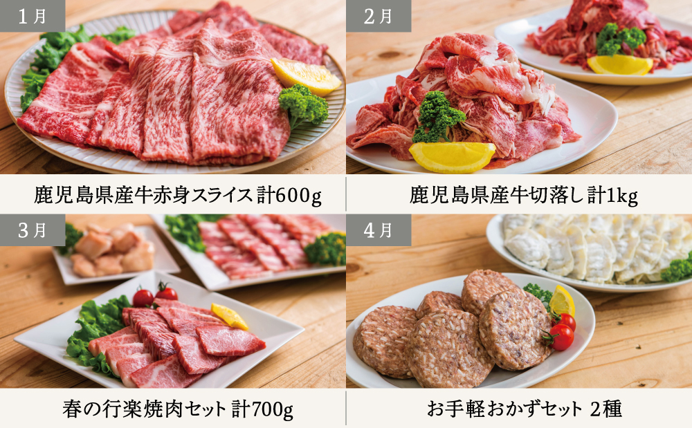【定期便 全12回】 情熱牧場 鹿児島県産お肉の定期便 スタンダードコース 定期配送 お肉 ステーキ すき焼き しゃぶしゃぶ A5等級 黒毛和牛 牛肉 豚肉 焼肉 定期便 冷凍 カミチク 南さつま市