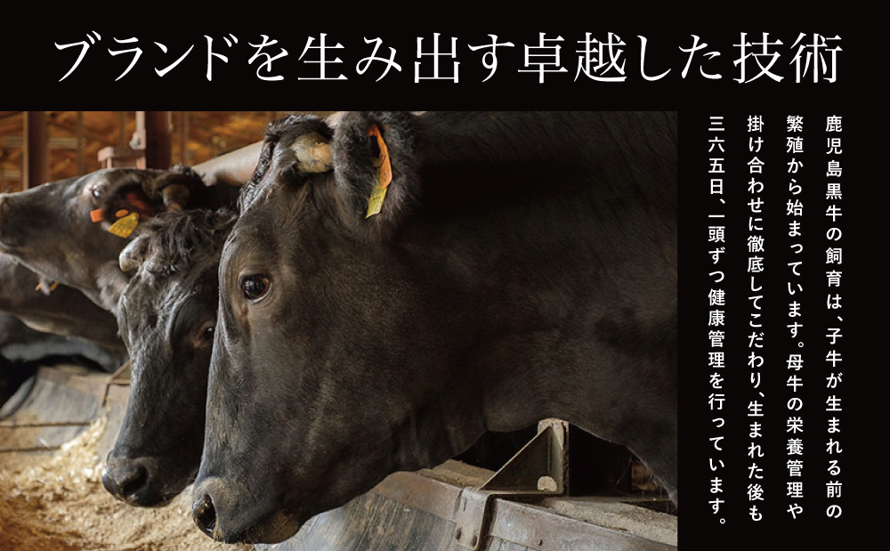 【和牛日本一】5等級 鹿児島黒牛 すきやき用1,200g 食べ比べセット(3種) 牛肉 お肉 黒毛和牛 冷凍 リブロース カタロース ウデ JA食肉かごしま ギフト 贈答 南さつま市