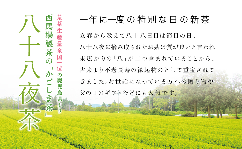 【新茶】 きんぽう 八十八夜茶 5本セット ＜2026年：5月中旬出荷開始＞ 西馬場製茶 鹿児島県産 緑茶 かごしま茶 お茶 日本茶 茶葉 煎茶 旬 季節 リーフティー ティータイム 飲み物 ドリンク ギフト 贈答 手土産 贈り物 プレゼント 南さつま市