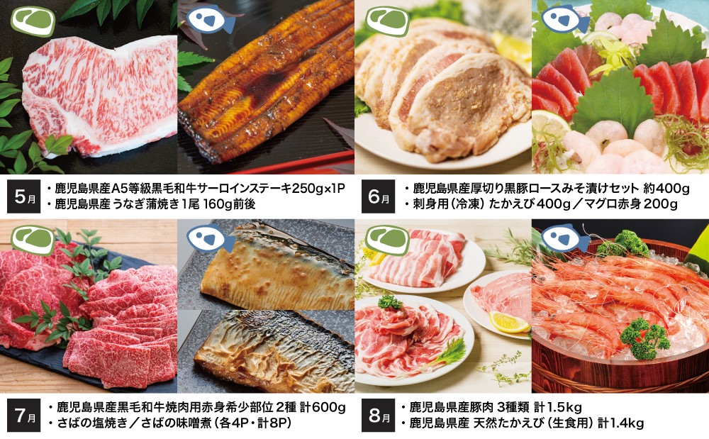 【定期便】海幸山幸 エクストラ厳選 定期便（全12回） 南さつま市 お肉 お魚 豚肉 牛肉 黒豚  鹿児島黒牛 すき焼き サーロイン ステーキ しゃぶしゃぶ 角煮 鰻 蒲焼 刺身用 たかえび 薩摩甘えび 海老 マグロ さつま揚げ 焼豚 ハム レトルト ハンバーグ 出汁 鰹節