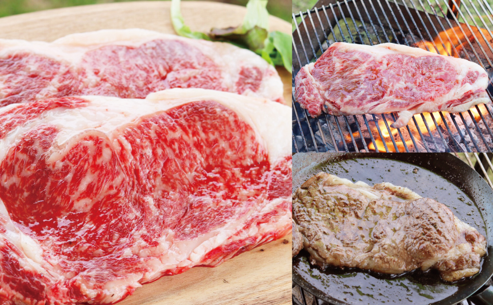 【鹿児島県産】黒毛和牛 サーロインステーキ 約500g （約170g×3枚） 牛肉 A4等級 ステーキ BBQ ギフト 贈答 冷凍 スターゼン 南さつま市