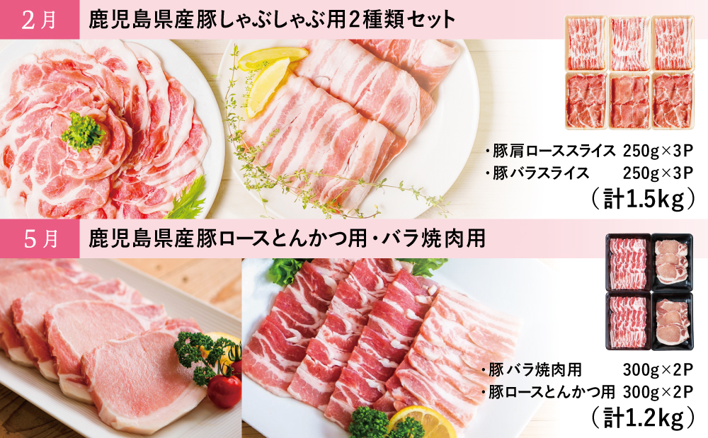 ãã¢ãªã¢ãªå®æäŸ¿ã鹿å
å³¶çç£è±ããã©ãå®æäŸ¿ ããã¶ããã¶ çå§çŒã ãšãã〠ãã³ã«ã ãã© ããŒã¹ ãè å°åã å·å å®æäŸ¿ ã«ãã㯠åãã€ãŸåž