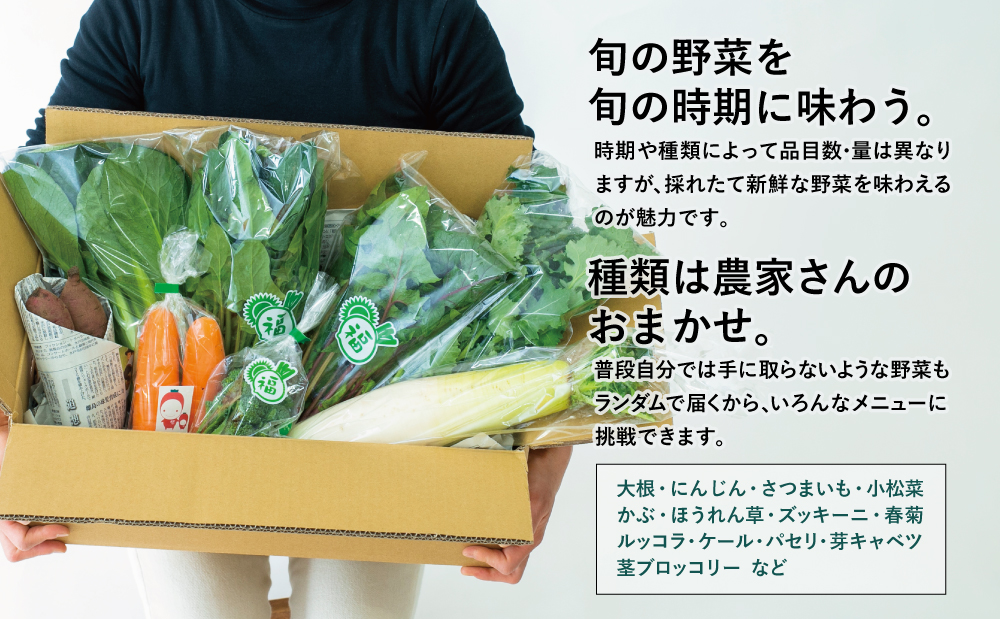 【鹿児島県南さつま市産】福元農園 旬のお野菜 おまかせセット 1箱（5～8品目） 野菜 詰め合わせ 数量限定 鹿児島 南さつま市