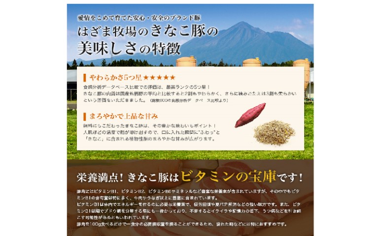 ã鹿å
å³¶çç£ãçç£çåœã®ãããªãè±ãå°éåã2.5kgïŒ500gÃ5è¢ïŒ åãèœãšã è±å°é å°éåã 现åã è±è å·å ã¹ã¿ãŒãŒã³ åãã€ãŸåž