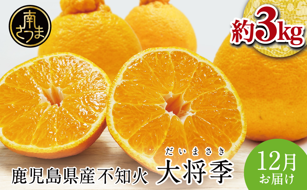 【1月～3月発送】鹿児島県産 不知火「大将季」（だいまさき）約3kg 果物 フルーツ 柑橘 みかん しらぬい ブランド 常温 JA 南さつま市