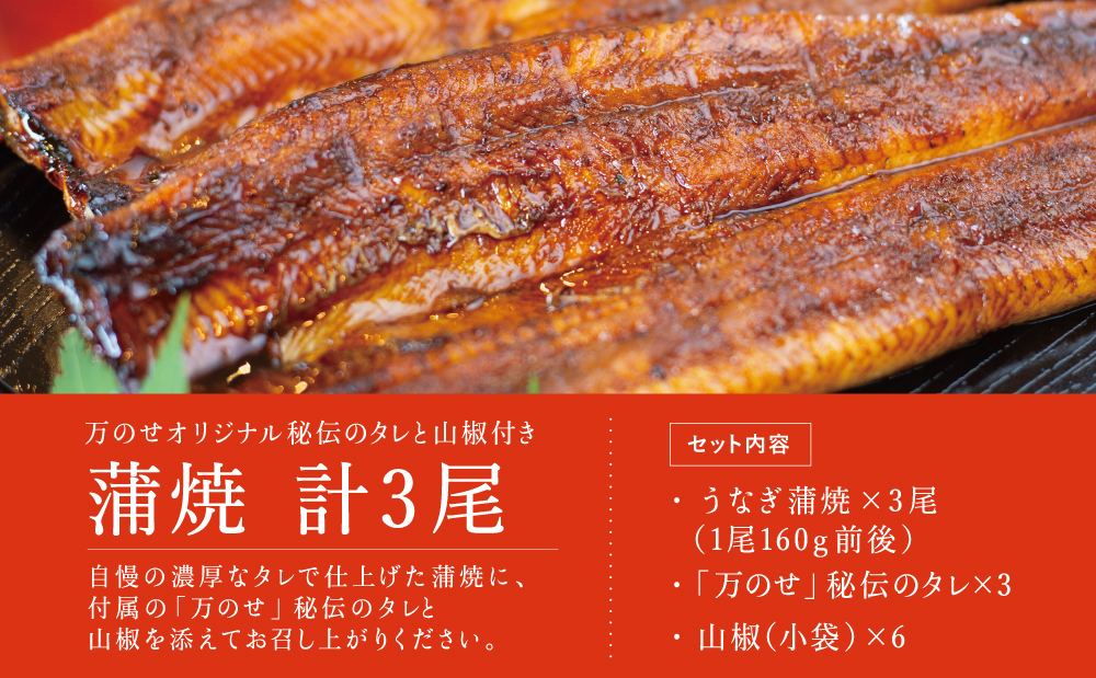 鹿児島県産 うなぎ蒲焼 3尾 セット うなぎ専門店「万のせ」ジューシー スタミナ ウナギ 鰻 蒲焼き 国産 ギフト うな重 たれ ひつまぶし 山椒 冷凍 簡単調理 贈り物 お取り寄せグルメ 冷凍 鹿児島県 南さつま市