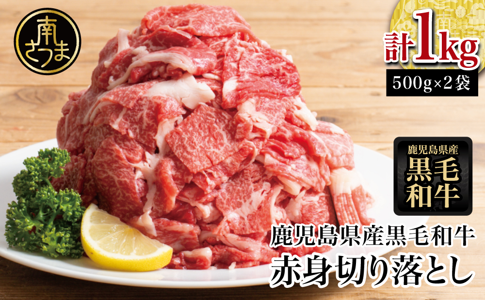 【鹿児島県産】黒毛和牛 赤身 切り落とし 1kg (500g×2） 切落し 牛丼 すき焼き 肉じゃが 炒め物 小分け 冷凍 スターゼン 南さつま市