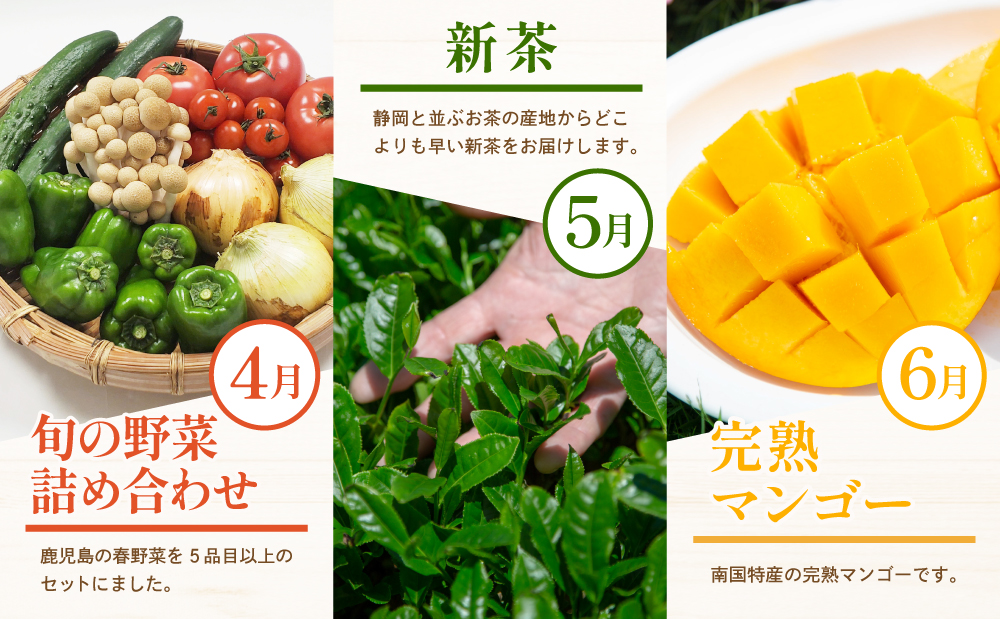 【定期便】南国の恵み 旬のフルーツ・野菜定期便（全12回） 鹿児島県産 果物 フルーツ 柑橘 みかん 野菜 お茶 米 お米 コシヒカリ ぶどう シャインマスカット マンゴー メロン 定期便