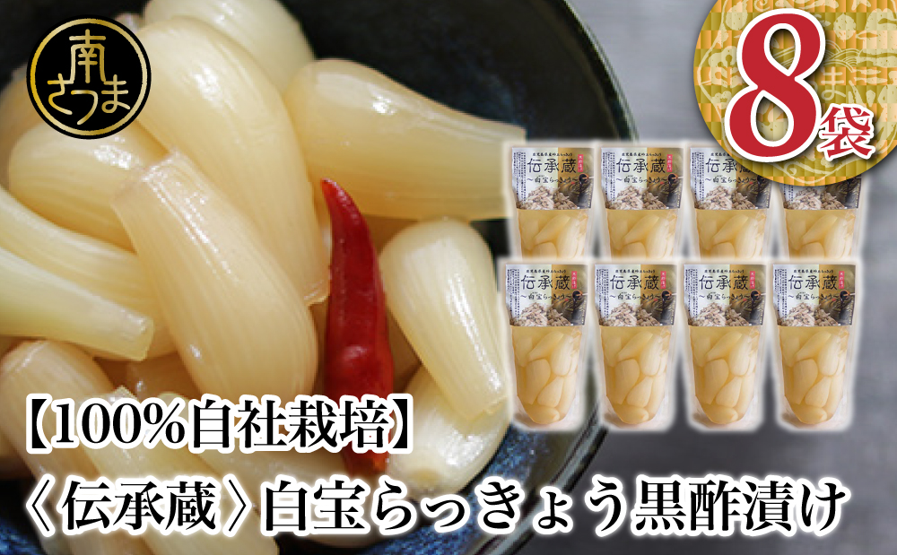 鹿児島県産 〈プレミアム〉伝承蔵～白宝らっきょう黒酢漬け～（90g×8P） 惣菜 らっきょう漬 らっきょう 漬物 黒酢 鹿児島 エスランドル 南さつま市