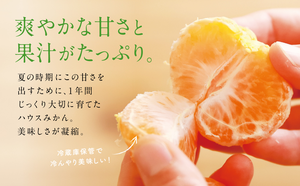 鹿児島県産 ハウスみかん 約2.4kg【 先行受付 ★7月～8月発送★】 化粧箱入り 先行予約 柑橘 みかん ミカン 蜜柑 ハウスミカン 温室 温州ミカン 温州みかん 旬 数量・期間 限定 国産 果実 果物 くだもの フルーツ 果肉 果汁 食品 デザート スイーツ おやつ 甘い 旬 季節限定 季節の果物 おすすめ ご褒美 贅沢 グルメ お取り寄せ JAさつま日置 鹿児島 鹿児島県 南さつま市