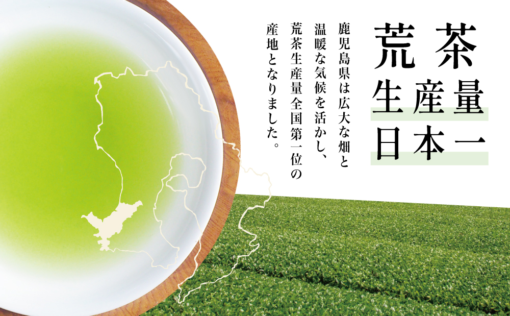【鹿児島県産緑茶】かせだみどり（80g×5袋）  お茶 茶葉 日本茶 緑茶 飲料 飲み物 ギフト 贈答用 国産 鹿児島県産 南さつま市 お茶の松山園