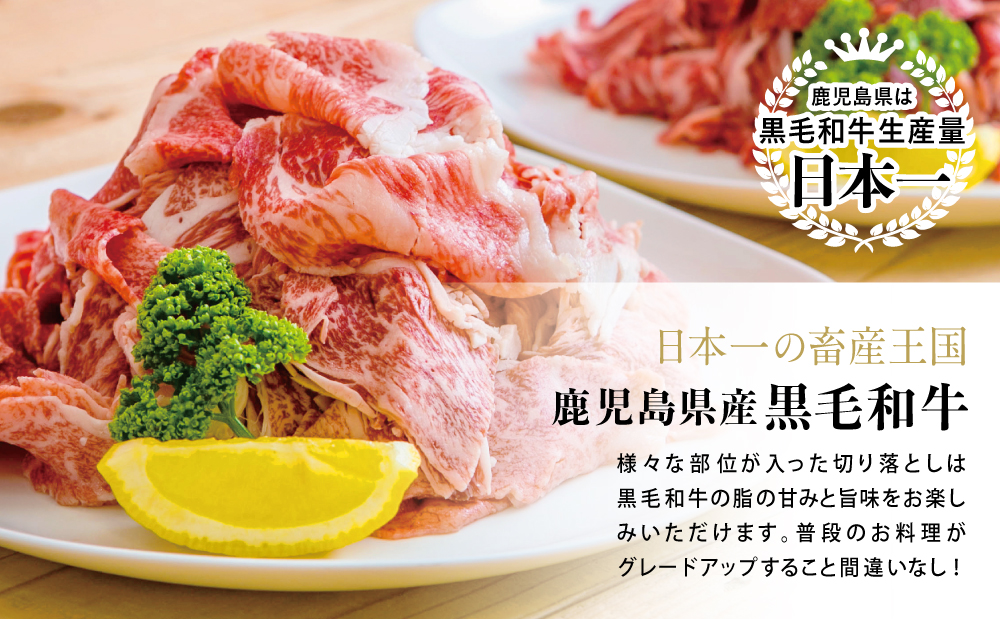 【鹿児島県産】A5等級黒毛和牛切落し 計1kg（250g×4P） 国産牛 牛肉 国産 おかず カレー 牛丼 肉じゃが カミチク 切り落とし 小分けパック 冷凍 南さつま市