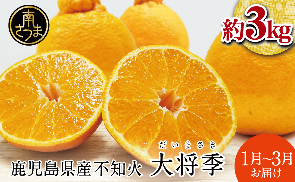 【1月～3月発送】鹿児島県産 不知火「大将季」（だいまさき）約3kg 果物 フルーツ 柑橘 みかん しらぬい ブランド 常温 JA 南さつま市