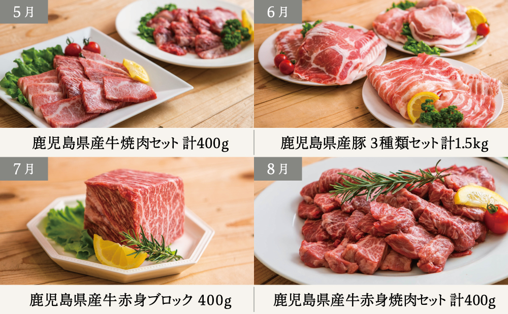 【定期便 全12回】 情熱牧場 鹿児島県産お肉の定期便 スタンダードコース 定期配送 お肉 ステーキ すき焼き しゃぶしゃぶ A5等級 黒毛和牛 牛肉 豚肉 焼肉 定期便 冷凍 カミチク 南さつま市