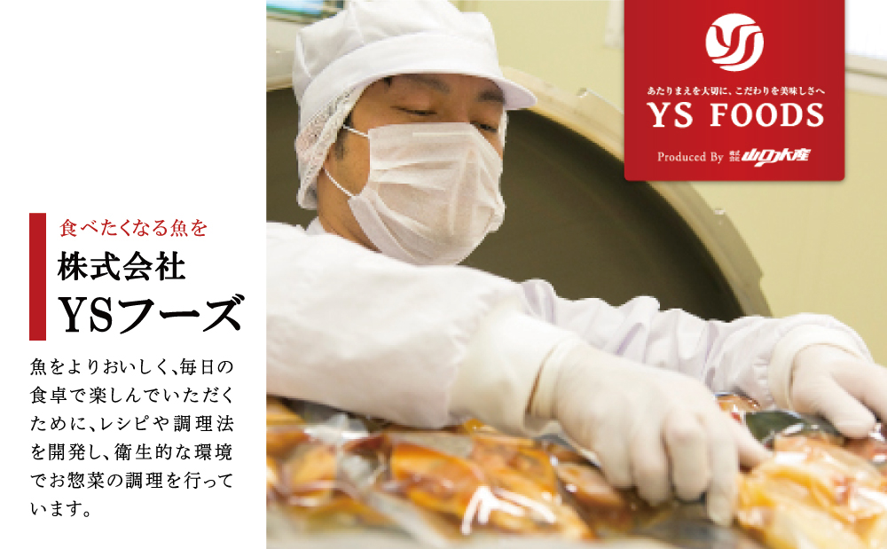 【 レンジでチンするだけ！ 】 ストックおかず 和惣菜12食 肉じゃが 鶏手羽元大根 筑前煮 さばの塩焼き さばの味噌煮 詰め合わせ セット 常温保存 惣菜 常温 おかず レトルト YSフーズ 鹿児島 南さつま市